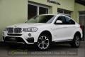 BMW X4 xDrive30D NAVI  R
