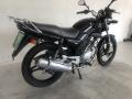 N�hled 13