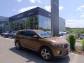 Kia Sorento 2.2 CRDi Premium