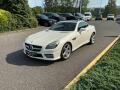 Mercedes-Benz SLK 250 AMG