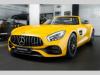 Mercedes-Benz AMG GT Roadster/Ceramic/Performance/K