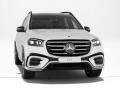 Mercedes-Benz GLS 350 d 4MATIC AMG Style Ed.