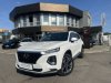 Hyundai Santa Fe 2.2 CRDi 147 kW LUXURY