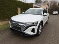 Audi Q8 e-tron 50-ETRON-4x4-TOP-Tan-