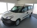 Fiat Dobl cargo 1.3JTD-70KW**PARK.S.*58TKM!!!!