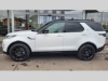 Land Rover Discovery D300 DYNAMIC SE MY24