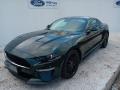 Ford Mustang 5.0BULLITT,338kW,1MAJ,CZ,SERVI