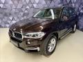 BMW X5 25d xDrive, NAVIGACE, PDC, TEM