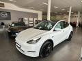 Tesla Model Y LR AWD PREMIUM