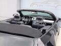 Ford Mustang 12