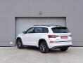 Škoda Kodiaq 7