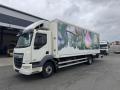 DAF LF 55.220*11.99T*CHLAK*ELO*