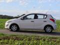 N�hled 11