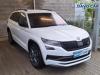 koda Kodiaq RS 2.0 TDI 4x4 DSG Challenge C