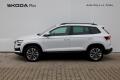 N�hled 4