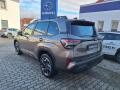 N�hled 6