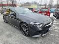 Mercedes-Benz CLS 450 4Matic AMG Burmaster 