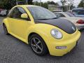 Volkswagen New Beetle 2.0 i 