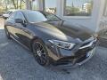Mercedes-Benz CLS 450 4Matic AMG Burmaster 