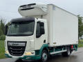 DAF LF 230 mrazk maso ve visu