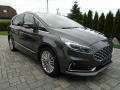 Ford S-MAX 2.0EcoBlue 140kW Vignale 8AT