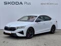 �koda Octavia RS DSG 2.0TSi 195kW