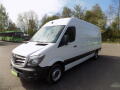 N�hled 11