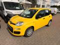 Fiat Panda Pandina Icon 1.0 BSG Hybrid 65