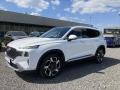 Hyundai Santa Fe 2.2 Style 4X4 Pano kamera 360