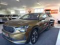 koda Kodiaq 2.0 TDI 142kW 4x4 Excl.Selecti