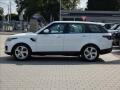 N�hled 2