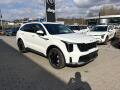 Kia Sorento 5P 1.6 T-GDi GPF HEV 4x4 6AT