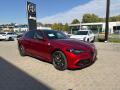 Alfa Romeo Giulia QV Collezione 2.9 V6 BiTurbo 5