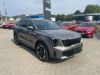 Kia Sorento 1.6 T-GDi GPF HEV 4x4 6AT 7P T