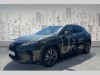 Lexus UX 300h 2.0 Business Tech