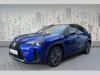 Lexus UX 250h 2.0 300h 44 E-FOUR F Sport De