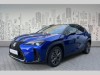 Lexus UX 300h 2.0 300h 44 E-FOUR F Sport De