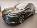 Lexus RX Executive Plus Plug-in