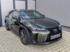 Lexus UX 300h 2.0 300h 44 E-FOUR F Sport De