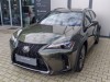 Lexus UX 300h 2.0 300h 44 E-FOUR F Sport De