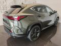 N�hled 7