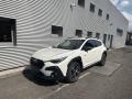 Subaru Crosstrek Active LETN� V�PRODEJ