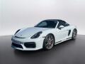 Porsche Cayman Spyder
