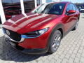 Mazda CX-30 2.0 X186 PS , Centre-line