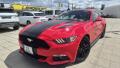 Ford Mustang 2.3T  50 Years Edition 233kw