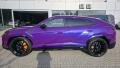 N�hled 6