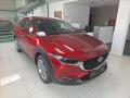 Mazda CX-30 2.5 G 140k 6AT FWD Exclusive-L