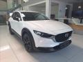 Mazda CX-30 2.5 G 140k 6AT FWD HOMURA