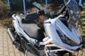 N�hled 2
