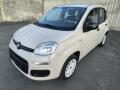 Fiat Panda 1.2 AUTOMAT NESEHNATELN� VERZE